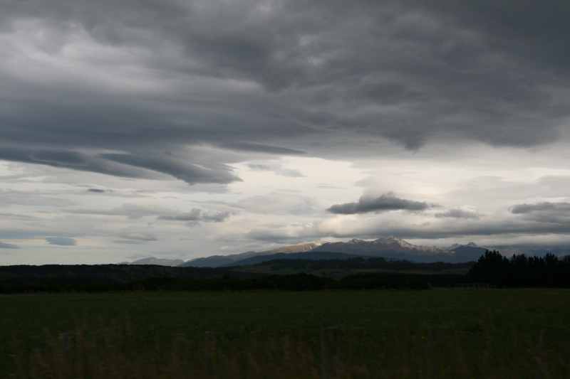 Nieuw-Zeeland 2011 - 1656